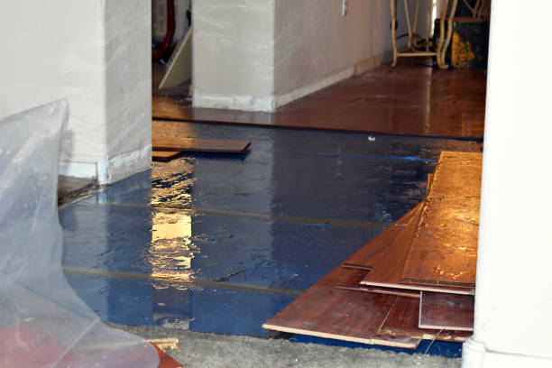 Professional Flood Cleanup technician working in Baileyville, ME